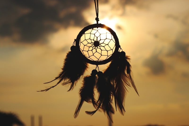 Body and Mind Harmony